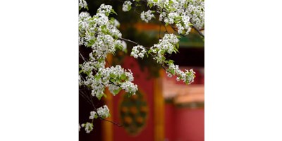 【展會(huì)資訊】臺(tái)群精機(jī)5月展會(huì)一覽，等您來參觀！