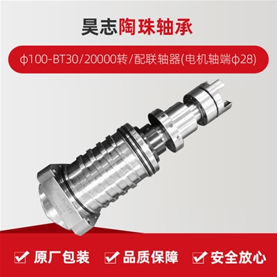 昊志/陶珠軸承/φ100-BT30/20000轉/配聯(lián)軸器(電機軸端φ28)